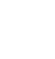 USP Icon