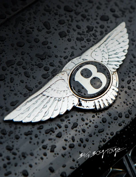 The B Wings